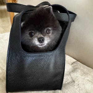 Al added a photo of their purchase