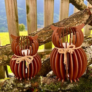 Panradls added a photo of their purchase