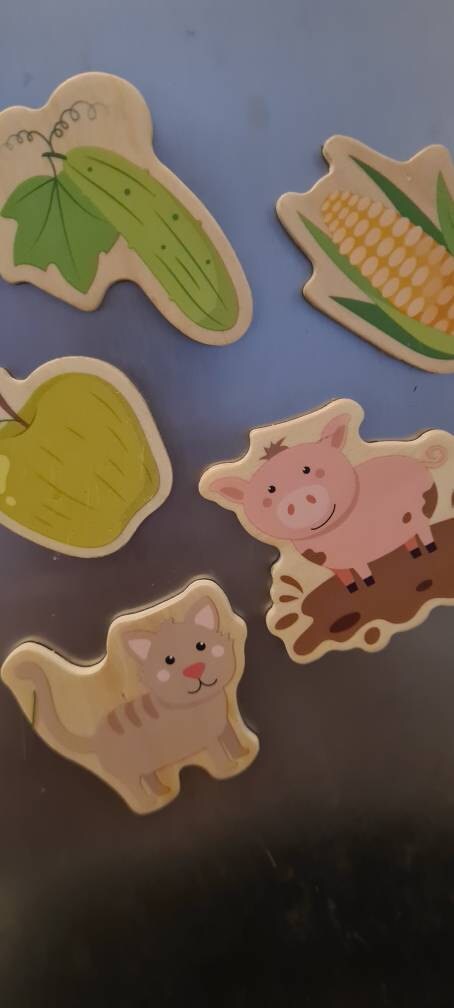 Fridge magnets: farm, board magnets, fridge magnets, wooden magnets, gift for children, birthday gift, children&#39;s activity