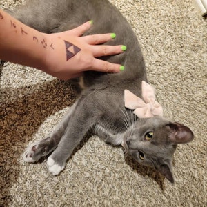 Noelani added a photo of their purchase