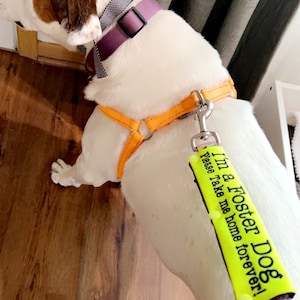 Cassandra added a photo of their purchase
