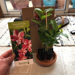 Andrew added a photo of their purchase