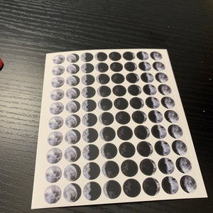 Lisa added a photo of their purchase