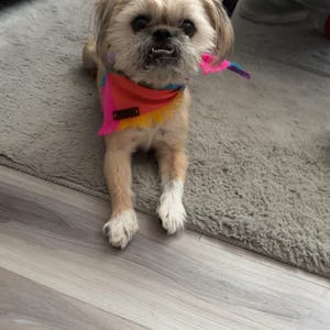 Chelsea ha añadido una foto de su compra