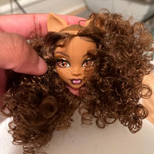 Roberto added a photo of their purchase