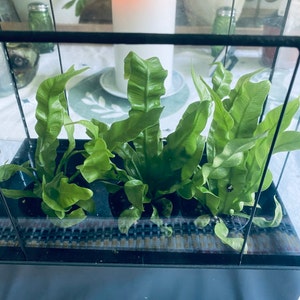 Crystal added a photo of their purchase