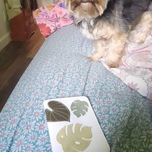 Kelly added a photo of their purchase
