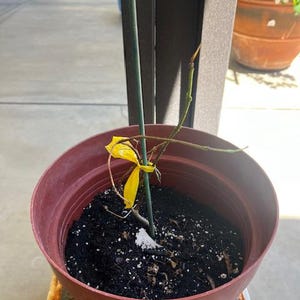 Martha added a photo of their purchase