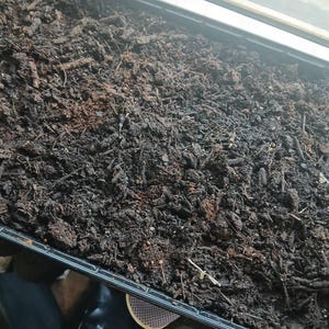 Sandra added a photo of their purchase