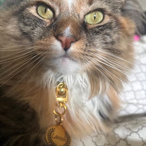 Tracy added a photo of their purchase
