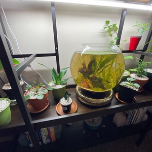 Eternal added a photo of their purchase