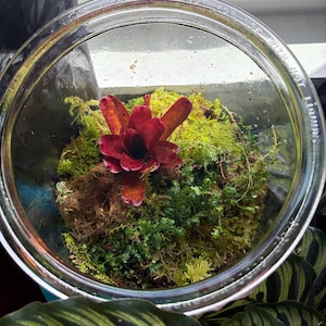 Carl added a photo of their purchase