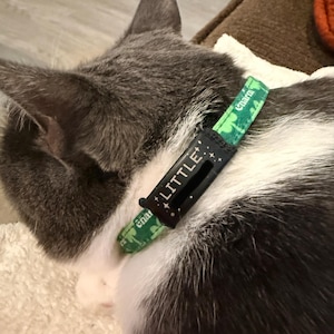 Fiona added a photo of their purchase