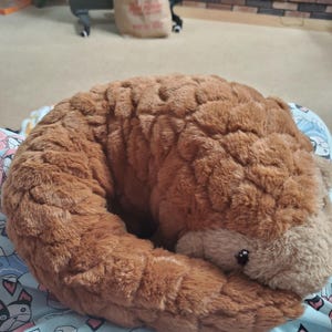 Rachel added a photo of their purchase