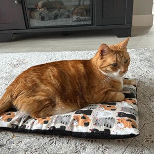 Trisha heeft een foto van de aankoop toegevoegd
