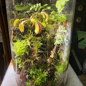 Carrie added a photo of their purchase