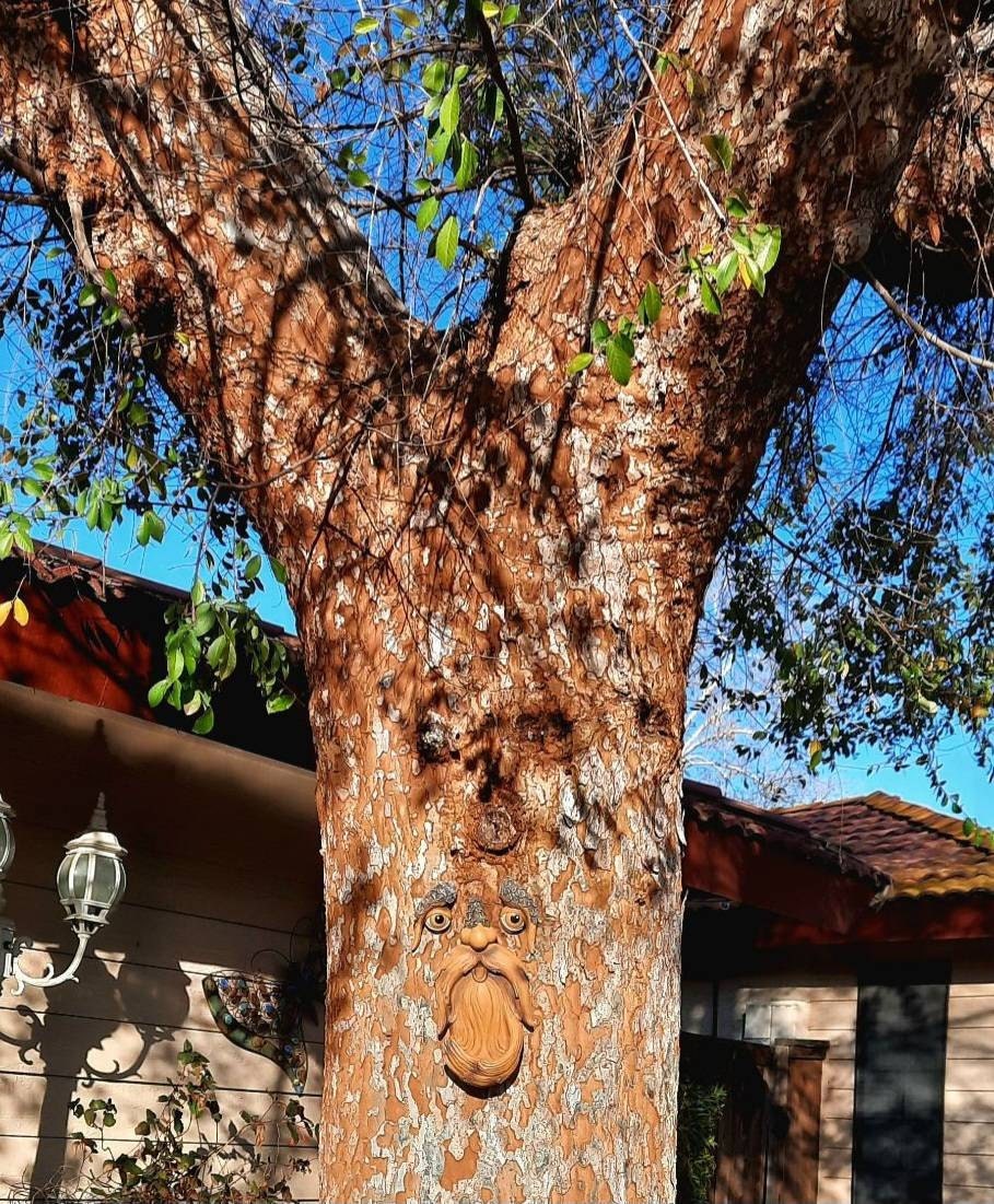 Tree Faces Garden Decor –Tree Hugger Bird Feeder– Yard Art– gift for dad- tree decorations outdoor- Garden Sculpture- Magical face for tree