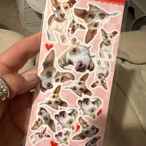 Caitlyn さんが購入した商品の写真を追加しました