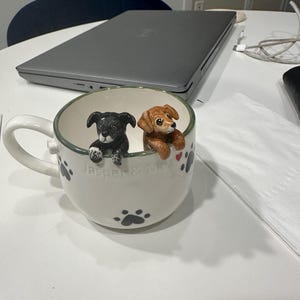 Emily added a photo of their purchase