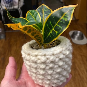 Theresa added a photo of their purchase
