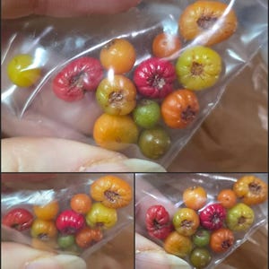 Tina added a photo of their purchase