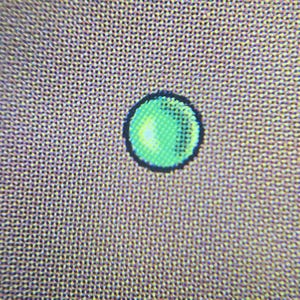 Stefan added a photo of their purchase