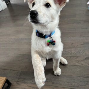 Michelle added a photo of their purchase