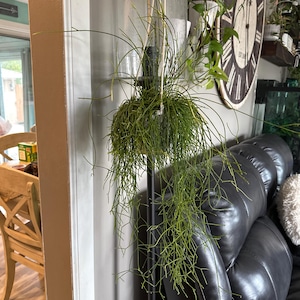 Amy added a photo of their purchase