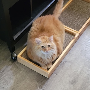 Fran added a photo of their purchase