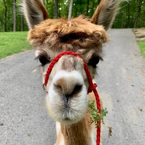 Shani Sprague added a photo of their purchase