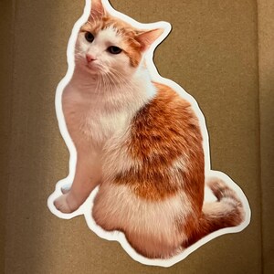 Etsy buyer added a photo of their purchase