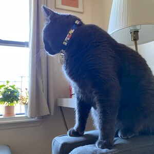 vanessa ha añadido una foto de su compra