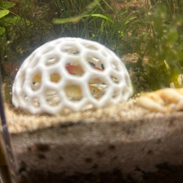 Aquarium Shrimp Dome Decor. Shrimp Home Hide Out, Moss Holder, Aquarium Dome, Shelter For