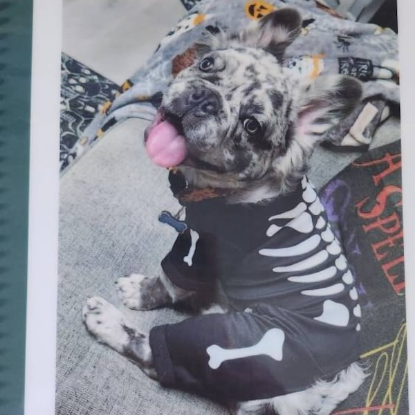 Auto Maintenance Planner Stickers ~ Oil Change, Inspection, Vehicle ...