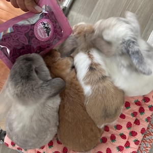 Linda added a photo of their purchase