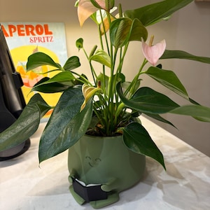 Gemma ha añadido una foto de su compra