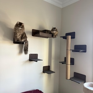 ajnsorder added a photo of their purchase