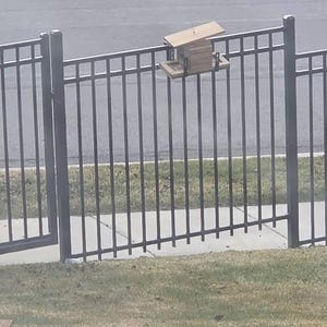 E added a photo of their purchase
