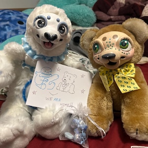 Savannah added a photo of their purchase