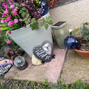 Rachael added a photo of their purchase