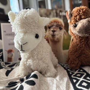 Susanna added a photo of their purchase