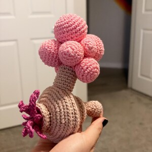 Silvia added a photo of their purchase