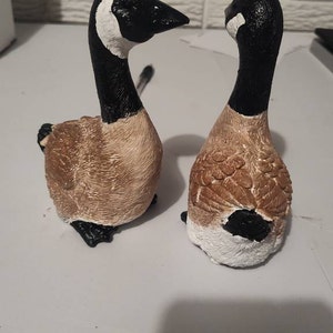 carl added a photo of their purchase