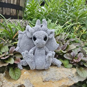 Lacey added a photo of their purchase