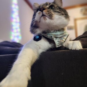 jamie ha añadido una foto de su compra