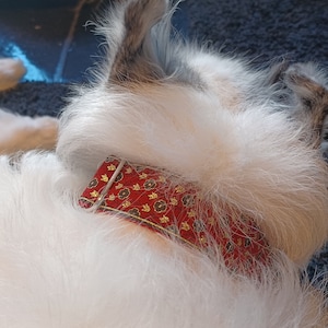 athena added a photo of their purchase