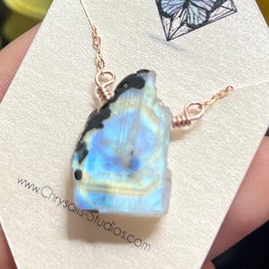 Paula added a photo of their purchase