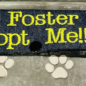 Dogs added a photo of their purchase