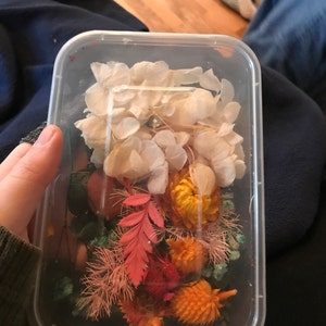 Ophelia ha aggiunto una foto del proprio acquisto