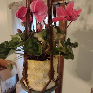 Pamela added a photo of their purchase